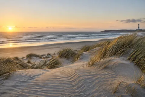 Коллекция ASCOMAX COAST